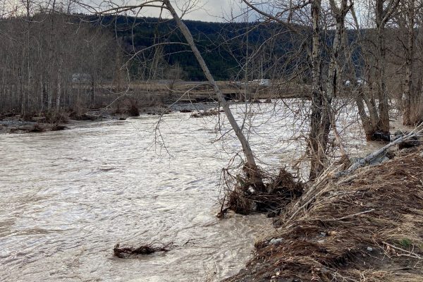 Coldwater River Flooding